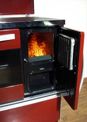 Elida-WF-Kaminofen-wasserfuhrend-11-kW-4-2.jpg