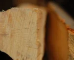 kaminholz-buche-trocken-1777902_1024x1024@2x.jpg
