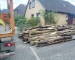 stammholz-2270606_1024x1024@2x-1.jpg